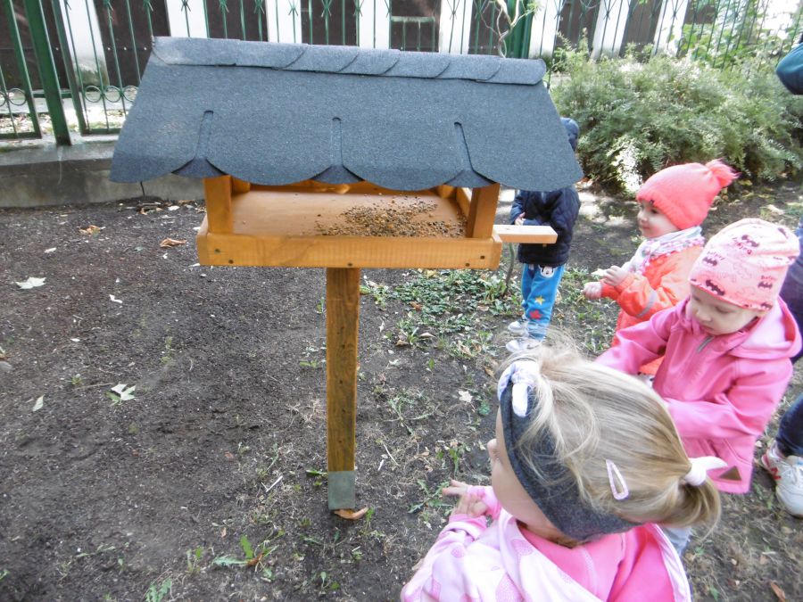 dzieci karmią ptaki przylatujące do karmnika