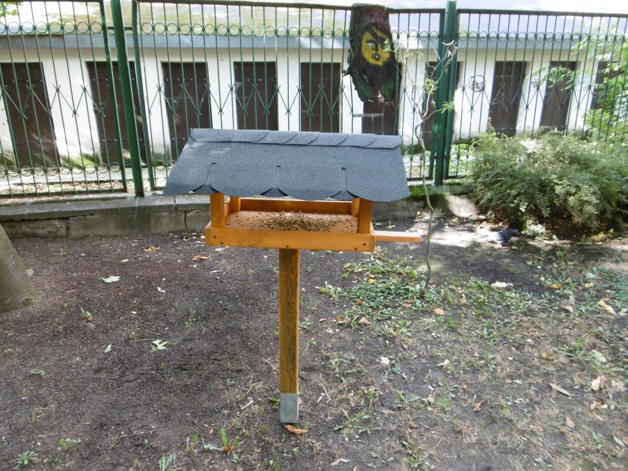 karmnik dla ptaków w ogródku przedszkolnym