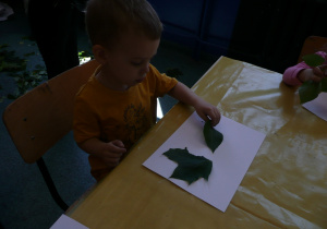 chłopiec układa liscie na papierze