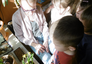 Tuptusie z nauczycielką obserwują zmiany zachodzące w kąciku przyrody