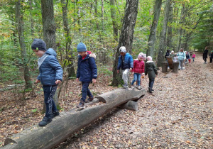 Juniorzy i Żaczki na drewnianym torze przeszkód w Lesie Łagiewnickim