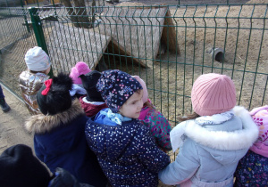 Tuptusie przyglądają się zwierzątkom w Dobroniance