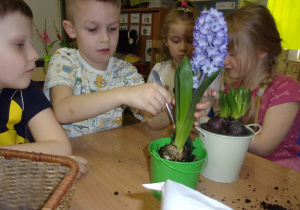 Juniorzy sadzą kwiaty