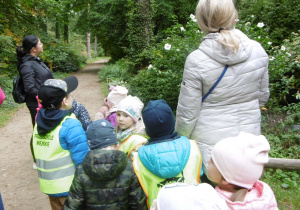 dzieci w kamizelkach odblaskowych podczas spaceru po arboretum