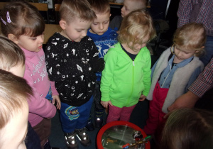 Tuptusie i Smyki uczestniczą w eksperymentach w Centrum Zajęć Pozaszkolnych