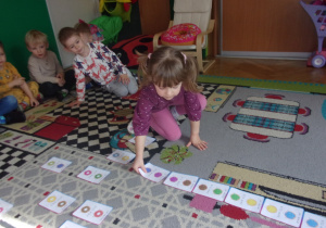 Tuptusie podczas zajęć na dywanie układają obrazki od najmniejszego do największego