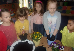 Juniorzy w rękawiczkach podczas sadzenia kwiatów