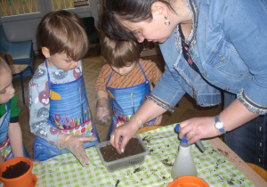 dwoje chłopców i ciocia Monika wysiewają nasionka