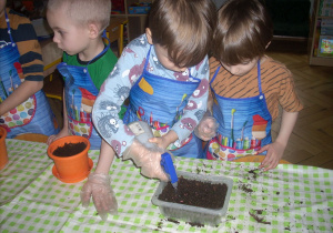 troje dzieci podlewa wysiane nasionka