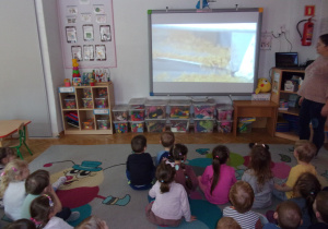 dzieci siedząc na dywanie oglądają film na tablicy interaktywnej