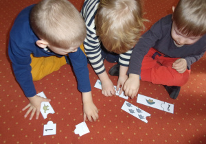 chłopcy w grupach układają obrazki dopasowując cyfrę do ilości dinozaurów