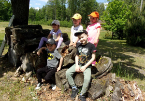 grupka dzieci na drewnie