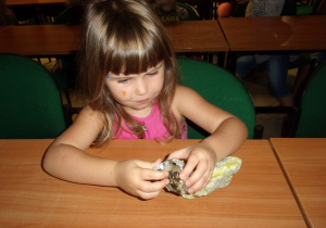 dziewczynka ogląda eksponaty Muzeum Geologicznego