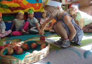 dziewczynka wyciąga jabłka z koszyka