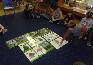 Juniorzy w kole na dywanie nazywają drzewa przedstawione na ilustracjach