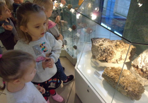 dzieci oglądają ekspozycje za szklanymi gablotami