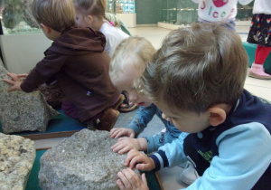 Tuptusie ustawione wokół skamieliny