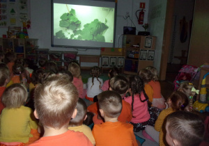 dzieci z młodszych grup oglądają na tablicy interaktywnej film o dyni