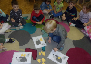 chłopiec układa na ilustracji odpowiednią ilość liści