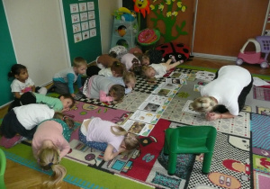 Tuptusie - jeże na dywanie