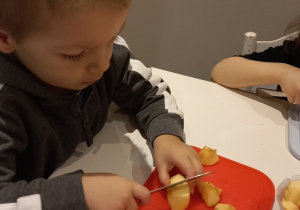 Tuptusie kroją jabłka na dużym, białym, kwadratowym stole