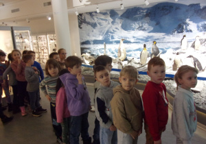 Juniorzy oglądają wystawę w Muzeum Przyrodniczym Uniwersytetu Łódziego