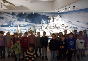 Juniorzy na tle wystawy w Muzeum Przyrodniczym
