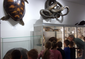 Juniorzy oglądają wystawę w Muzeum Przyrodniczym Uniwersytetu Łódziego - zwierzęta