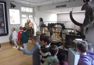 Juniorzy przechodzą na kolejną wystawę w Muzeum Przyrodniczym