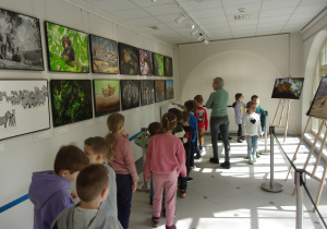 Juniorzy oglądają wystawę w Muzeum Przyrodniczym Uniwersytetu Łódziego - zdjęcia przyrodnicze