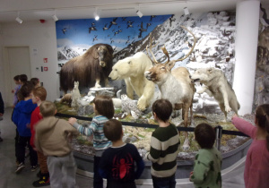 dzieci oglądają wystawę zwierząt w Muzeum Przyrodniczym UŁ