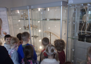 dzieci oglądają wystawę szkieletów w Muzeum Przyrodniczym UŁ