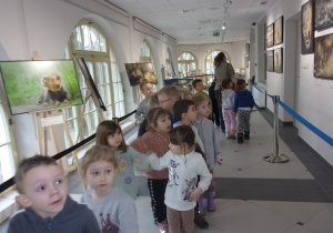 dzieci oglądają wystawę w Muzeum Przyrodniczym UŁ - zdjęcia przyrodnicze